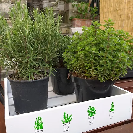 Apartamento La Casetta Rossa *