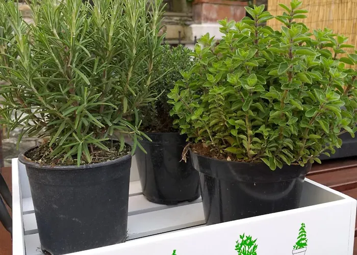 Lägenhet La Casetta Rossa *